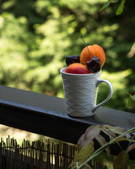 fruits in cup, orange, color, apricots, cherries, nature, natural light, 