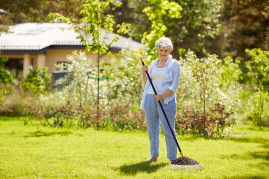 gardening and people concept - happy senior woman with lawn rake working at summer garden