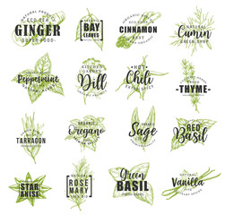 Spice and herb leaf sketch label with lettering