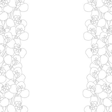 Iris Flower Outline Border on White Background. Vector Illustration.