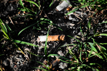 The cigarette butt in the grass, soft focus