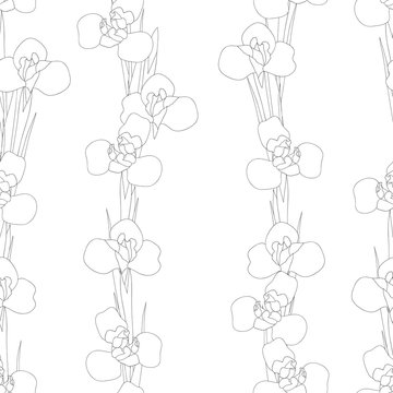Iris Flower Outline Seamless on White Background