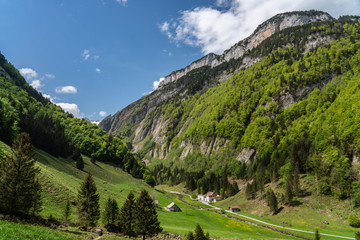 Swiss, Alps panorama view © AlehAlisevich