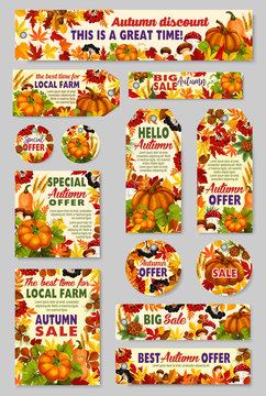 Autumn sale shop or farm market vector discount