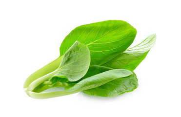 Chinese cabbage on a white background