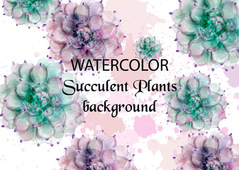 Succulent plants watercolor. Tropic exotic pattern Vector. Exotic summer background illustrations