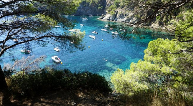 Vistas a una cala de la Costa Brava (Cala Rostella)