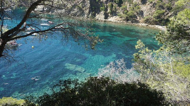 Vistas a una cala de la Costa Brava (Cala Rostella)