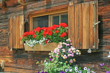Fenster mit Blumen in den Alpen, Almhütte