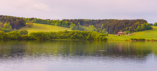 Local lake and green forest with a house in the background