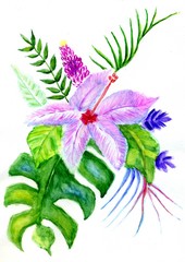 Obraz premium Tropic leaves and flowers