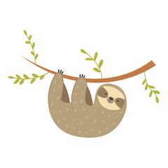 Sloth hanging on the tree. Adorable cartoon animal © danceyourlife