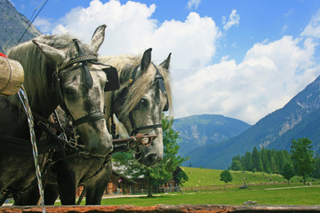 Romantischer Ausflug ins Karwendelgebirge, Engalm im kleinen Ahornboden
