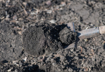 On the bayonet spade is a large clump of black earth. Digging an empty field of black soil