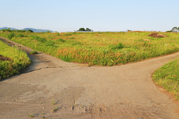 道の分岐