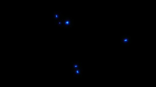 Cartoon Electricity Elements Blue Energy Lightning - Loop Animation Motion Graphic Pack 5 Effects