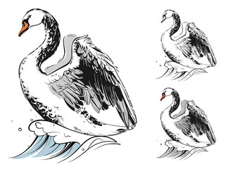 graphic drawing of a swan on a wave. Color, gray and black and white versions. Vector illustration, isolated objects