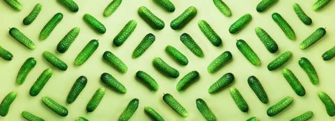 Creative pattern of fresh cucumbers on green background. Top view. Copy space. Banner. Minimal design. Vegetarian, vegan, organic food and alkaline meal concept