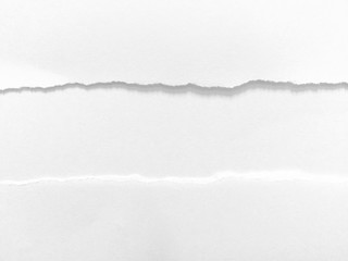 Obraz premium pieces of torn paper texture background, copy space.