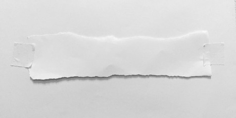pieces of torn paper texture background, copy space.