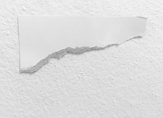 pieces of torn paper texture background, copy space.