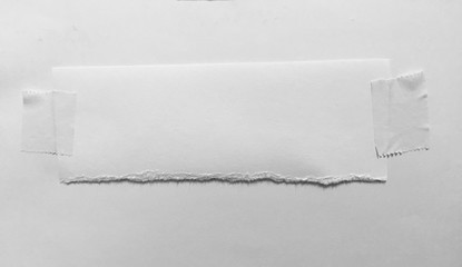 pieces of torn paper texture background, copy space.