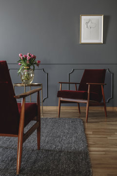 Two red armchairs standing in a dark gray living room interior with pink tulips on a metal table and a drawing on the wall. Real photo