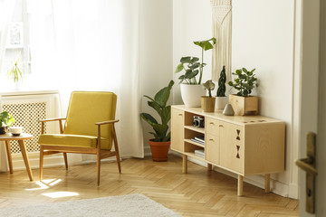 Yellow wooden armchair next to cabinet with plant in bright living room interior. Real photo