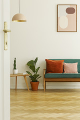 Plant between table and green sofa in bright living room interior with poster and lamp. Real photo