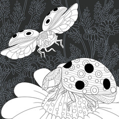 Ladybugs in black and white line art style. Coloring page.