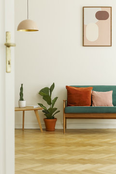 Plant between table and green sofa in bright living room interior with poster and lamp. Real photo