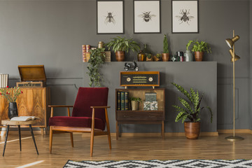 Red wooden armchair in vintage living room interior with radio on cabinet next to plant. Real photo