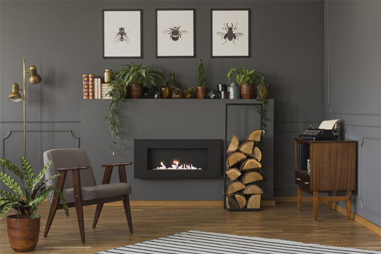 Plant next to grey armchair in warm apartment interior with fireplace under posters. Real photo