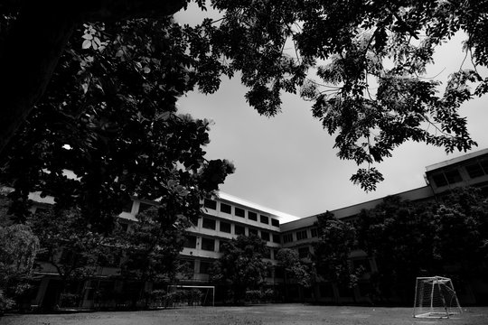 building shcool grass and trees around. hard dark black and white
