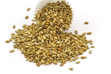 fresh sunflower seeds in paper cup isolated on a white background