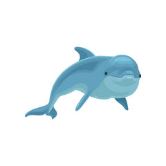Blue dolphin swimming vector Illustration on a white background