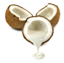 isolated image of coconuts closeup