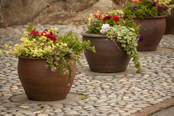Fototapeta na wymiar Pots lined up on a pebbled patio terrace.