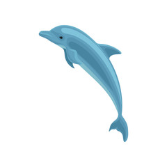 Cute blue dolphin jumping vector Illustration on a white background