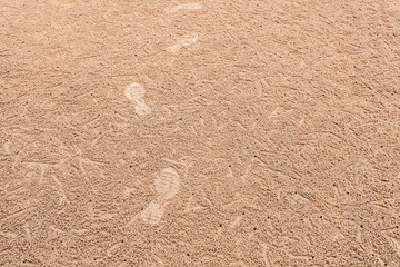 Footprints on horizontal landscape hole of Ocypode ceratophthalma crab on a sandy beach use for background