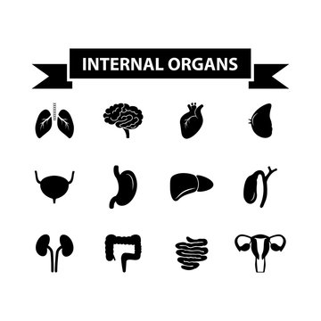 Set of black icons of internal organs. Vector illustration.