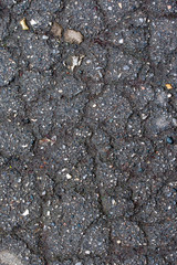 asphalt on the road is covered with cracks
