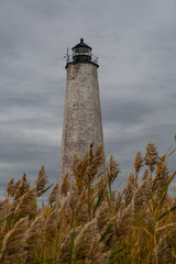 Lighthouse among the weeds