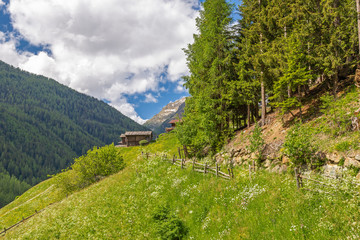 Fototapeta na wymiar Bergbauernhof bei Sankt Nikolaus im Ultental, Südtirol 
