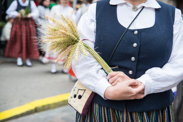 National latvian elements and suits on the openning of National Latvian Song and Dance Festival in...