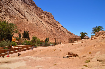 road to the monastery of St. Catherine, against the background of mountains and blue sky, green olive trees, pilgrims and visitors in the background
