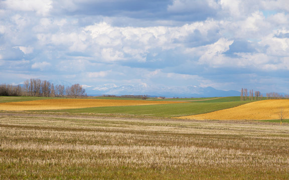 Paisaje con terrenos cultivados de cereal, arboledas y monta&ntilde;as al fondo