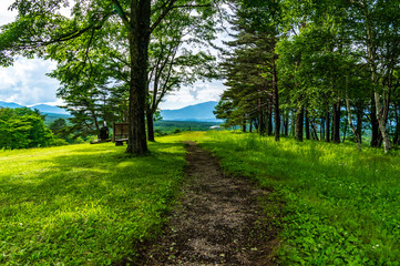 北軽井沢の牧草地