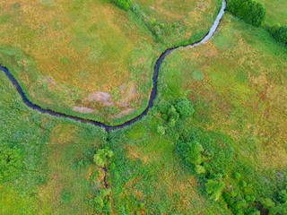 River flows through the green meadow with trees, aerial view