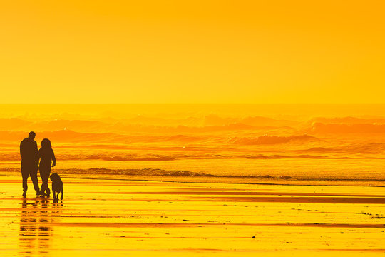 Couple Walking The Dog On Beach